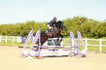SBM_000353