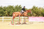 SBM_006531