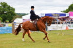 SBM_02875