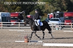 BPP_8852