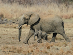 Mom and youngster