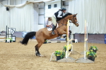 Class 17 - Senior Discovery - 1.00m portfolio