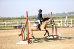 SBM_000119