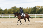 SBM_004482