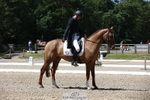 157-GODSEND_DU_GIVRE-Henry_Dove-WEDTrotUp+DR portfolio