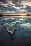 11 of 52: Pickmere Lake