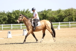 SBM_007813