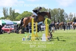 BPP_6052