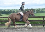 JAC_2646