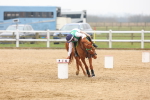 SBM_004303