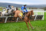 151125-Race 1-One Horse Town-2060