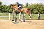 SBM_003388