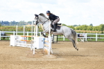 SBM_003373