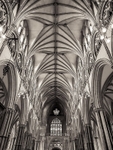 Lincoln Cathedral 03
