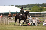 SBM_17826