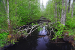 Soomaa National Park, Estonia
