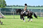 SBM_07926