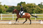 SBM_007731