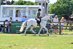 SBM_17527