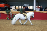 SBM_09889