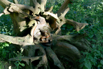 Buchan Park - 15