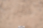 241127-130518-00615