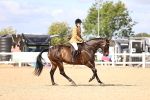 SBM_12923