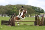 Morecambe Bay Riding Club May 2012 - Working Hunter/Jumping portfolio