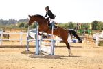 SBM_000891