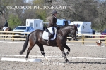 BPP_9489