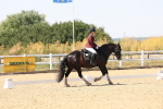 SBM_005643