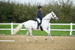 LAD_4630