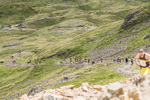 Borrowdale-1466