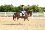 SBM_007622