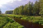 Białowieża, Poland
