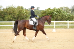 SBM_018443