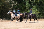 WJ6_9036