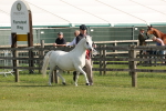 SBM_00629