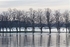 28 December 2015 CIVIC TRUST KNAVESMIRE IN FLOOD - 4 of 9