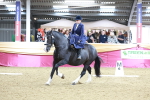 SBM_09933