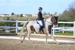 Class 6: Novice 2 2024 Section B portfolio