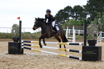 Class 12: Pony British Novice/80cm open portfolio