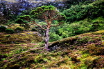 20100827_0222_2