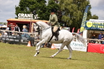 SBM_14682