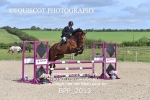 BPP_2013