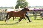 SBM_00617
