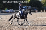 BPP_9538