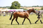 SBM_14979