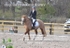 BPP_9988