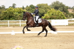 SBM_003796